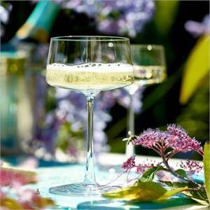 Stolzle Power Champagne Saucer